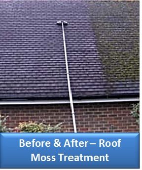 Roof Moss Treament Before and After