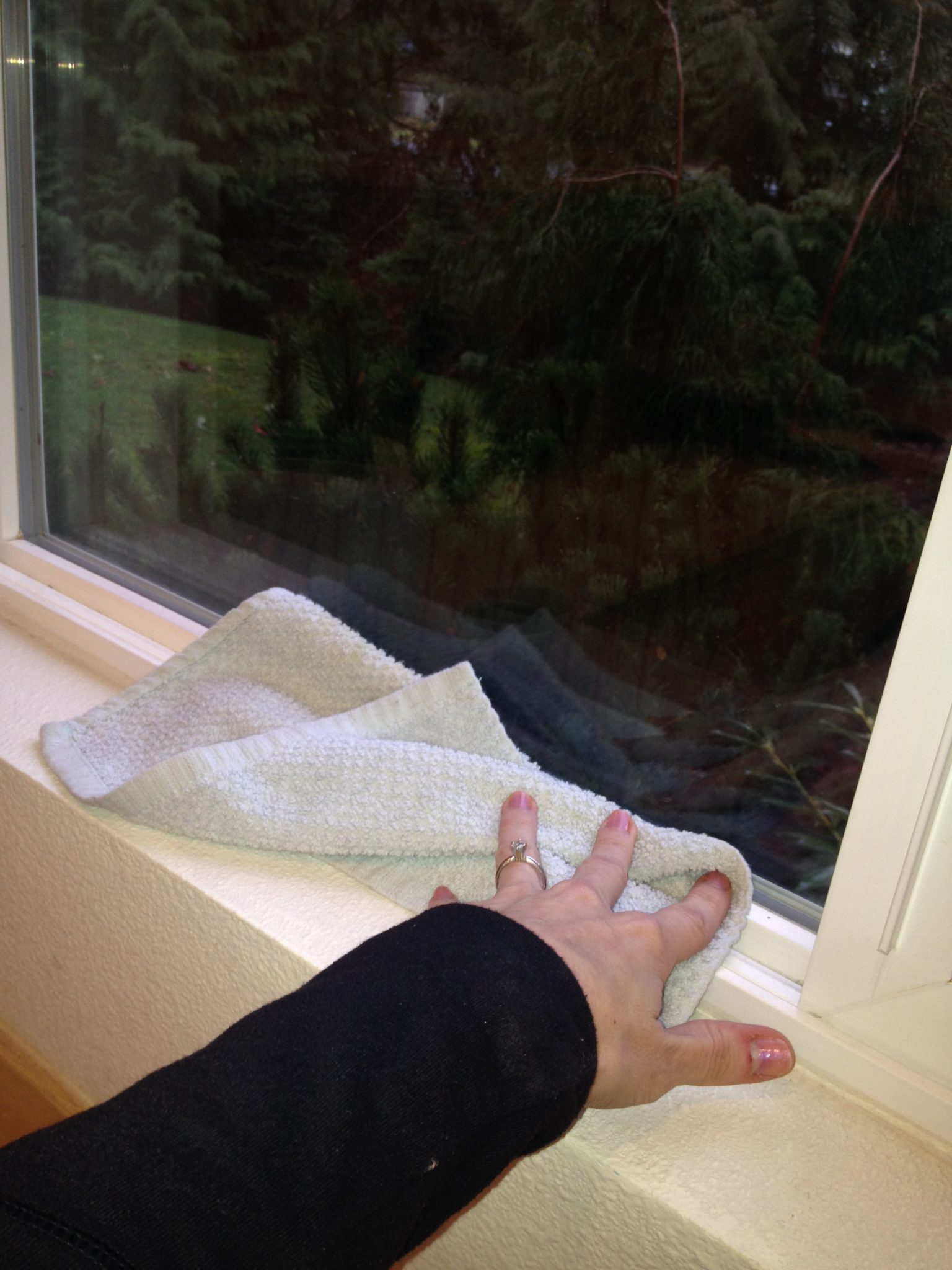 Window Care TLC Glass, Vinyl, Mold & Weep Holes