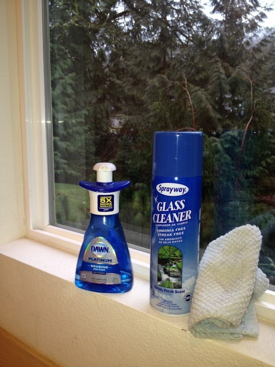 Window Cleaning Mild Soap