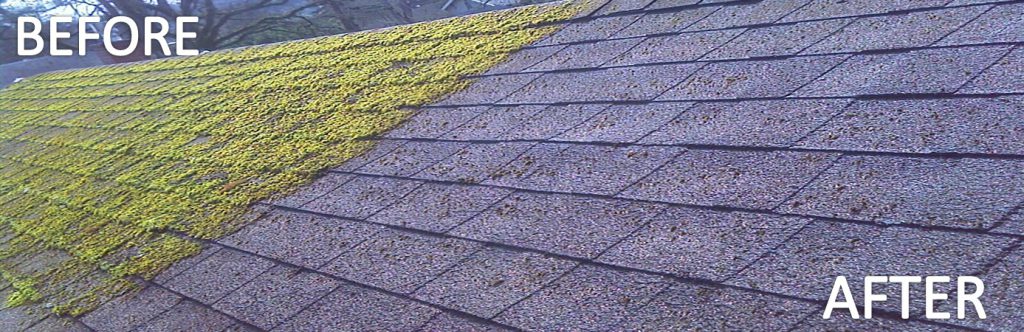 Roof Cleaning & moss Control Before - After