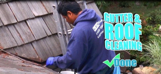 Gutter Cleaning & Roof Cleaning