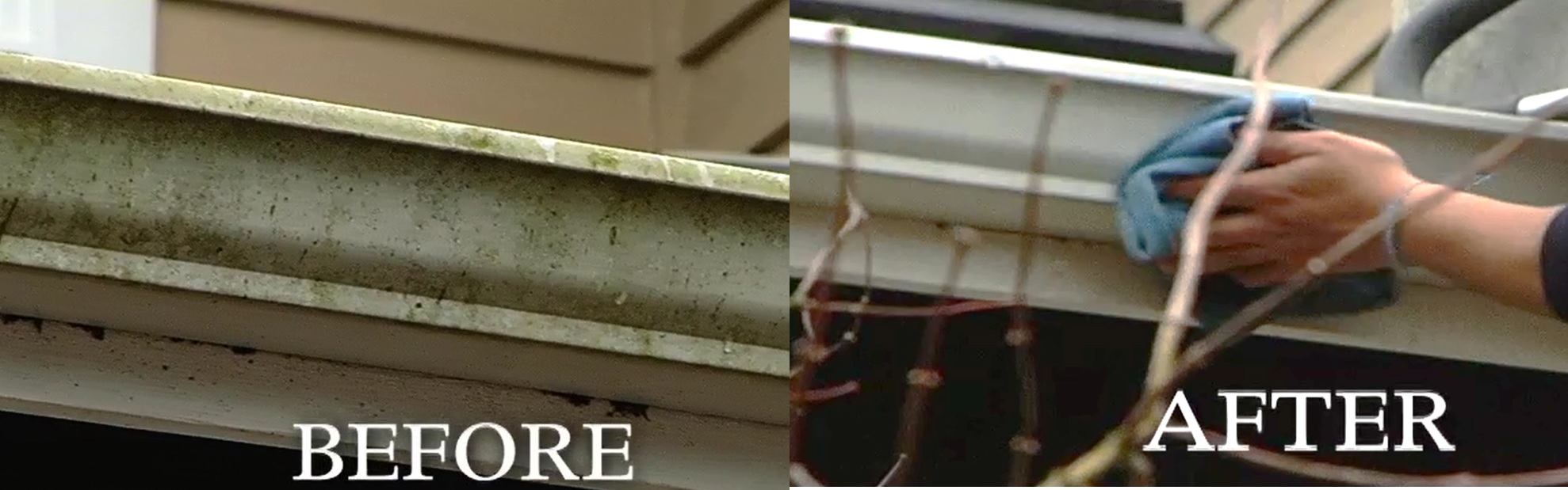 Bellevue Before & After Gutter Cleaning